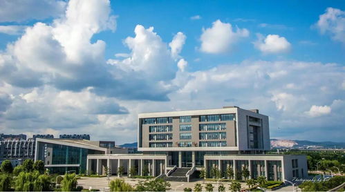 中国药科大学药学院,中国药科大学药学院:制药教育与研发的龙头。