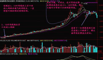 最近看了个网站红蚂蚁炒股软件的，大家觉得怎么样？