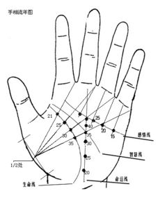 手相怎样算起点和终点