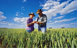 一文读懂美国干旱 澳洲小麦上市芝商所对全球小麦影响 