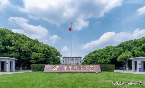 2020国内大学最新排名,武大华科挺进前十 部分大学争议大 大学排行榜 华科 武大 武汉大学 大学 网易订阅 