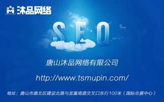 唐山seo,揭秘唐山地区搜索引擎优化策略与实战技巧