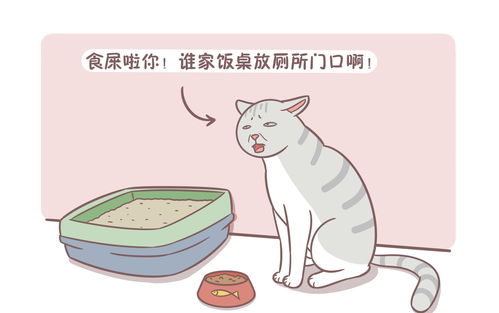 猫咪乱拉乱尿 可能不是心情不好,还有可能是生病了