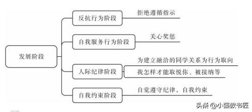 教育的主要功能