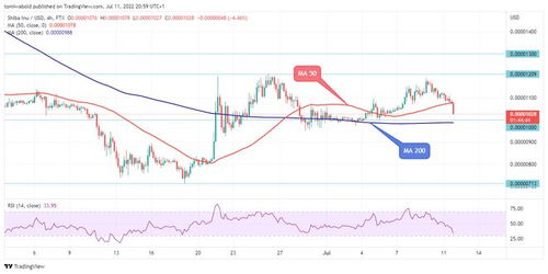 shib币的最新行情走势图,Shib币的价格走势 shib币的最新行情走势图,Shib币的价格走势 行情