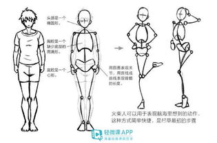 人体绘画入门该怎么练习 如何能快速的掌握人体