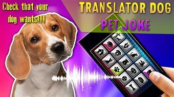 猫狗翻译器（Pet Translator）