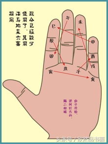 地支三 六合 刑 冲 破 害掌诀图 