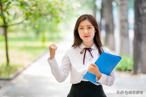 专科女生适合学什么专业,女孩子专科选什么专业好