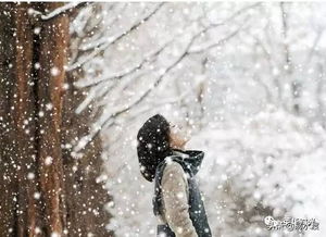 跟着古诗词,再赏易县的雪