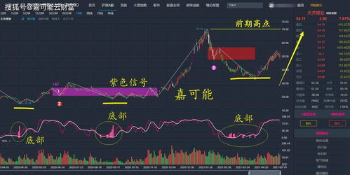  富邦股份股票历史股价查询,富邦股份股票历史股价查询指南 天富官网