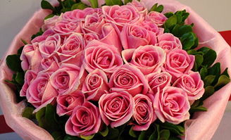 粉玫瑰的花语是什么意思 寓意,粉玫