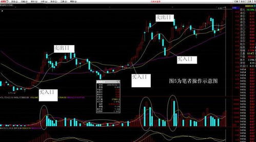 000905最近缩量震荡，请高手帮分析是出货还是持有？