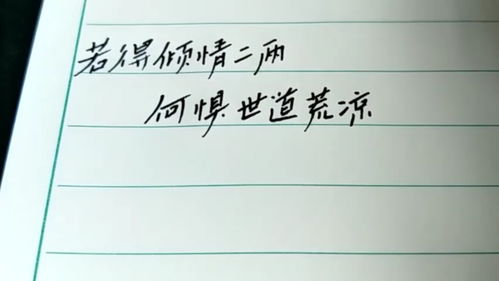 老师给我写的字起了个名字,叫搬砖体 