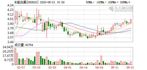 长航凤凰股份有限公司的财政状况