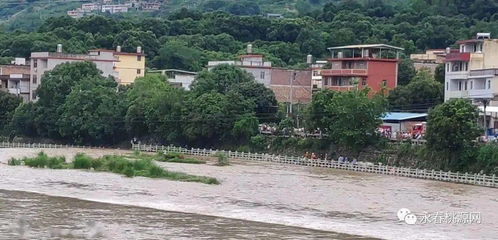 暴雨突袭 永春这个地方全市雨量最大,达埔村民与羊群被困河中