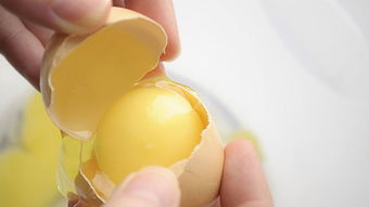 原创一天只能吃一个鸡蛋？蛋黄胆固醇高？营养师告诉你答案