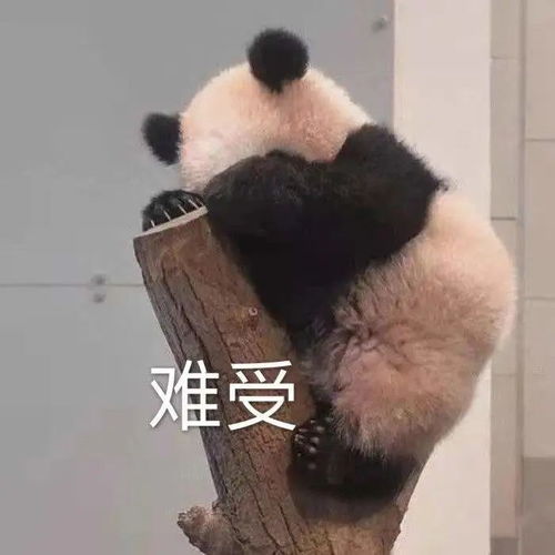 网课行为大赏,尽请对号入座