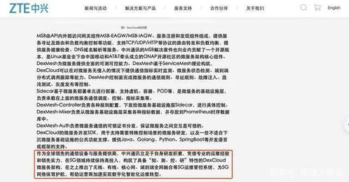 中兴通讯为什么被处罚