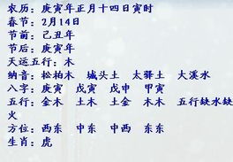 找高人给阴历2010.2.27日出生的宝宝起个名字 