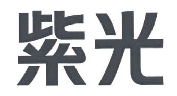 你好！我想了解一下北京紫光华宇软件股份有限公司是不是清华紫光集团的全资子公司呢？