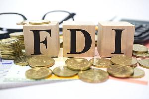 fdi什么意思(对fdi的认识)   股票配资平台  第2张