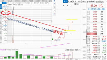 山推股份.兴发集团.中国重汽.新兴铸管，哪两只股票比较好，请各位帮我选一下，谢谢