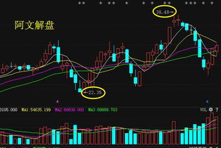 双林股份2021年2月24号这几天为什么天天大跌