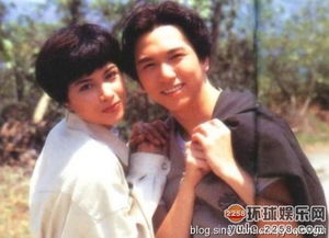 90年代TVB十大荧幕情侣 古天乐和宣萱最配