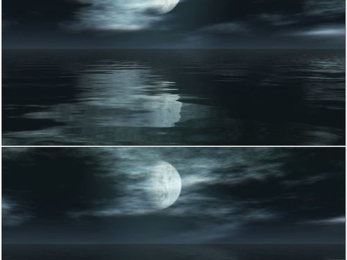 月亮倒影在水面的文案(月亮倒映在水上的句子)