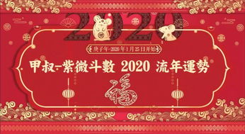 甲叔 紫微斗数2020流年运势