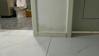 卫生间门两边墙根漏水潮湿怎么回事 