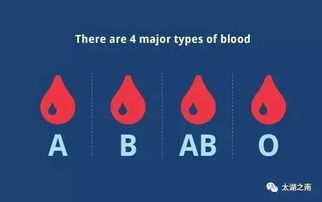 O型血是最健康的血型 科学家的研究结果让人惊讶 