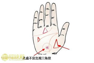 手掌纹路的意义(手掌的纹路代表什么意思)