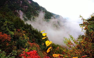 大明山景区停车方便吗(大明山停车场免费政策咨询)