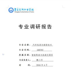 中国汽车工程师专业技术资格认证论文集