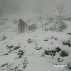 电话,地址,价格,营业时间 都江堰市美食 