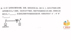 杠杆可以分为什么和什么