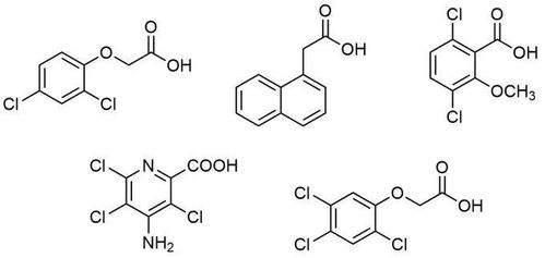 生长素类似物有哪些,生长素类似物与植物生长调节剂含义是否相同？