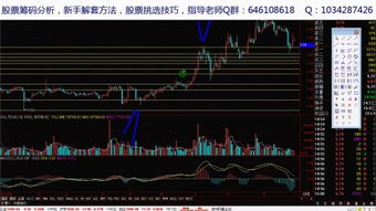 a股平仓什么意思 a股平仓什么意思 行情