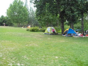北京 露营 公园,北京市内有没有可以搭帐篷过夜的公园或者广场？