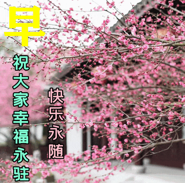 2022年3月12日特漂亮最新版早安动态图片 阳春三月早上好祝福语句子