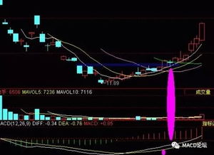 请分析一下农业银行的基本面和技术面