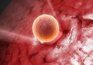 原创胚胎移植后多久能查出怀孕？着床时会不会有感觉？