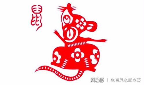 属鼠人2020年48岁本命年要注意什么