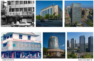 台州银行股份有限公司所属支行是哪个