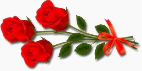 男人发一朵玫瑰花代表什么意思 女人发1个玫瑰表情