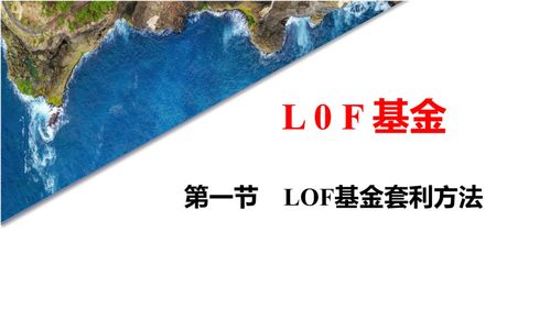 石油lof基金买卖规则,石油lof基金买卖规则：