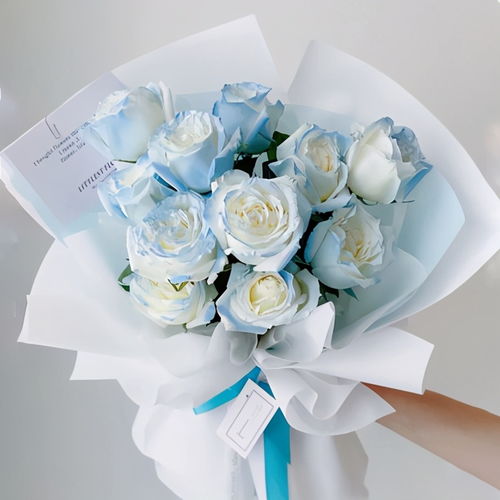11朵冰蓝玫瑰的花语是什么 碎冰蓝玫瑰不能随便送人