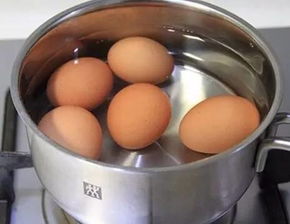 土鸡蛋和普通鸡蛋的区别,这些年我们都误解了...
